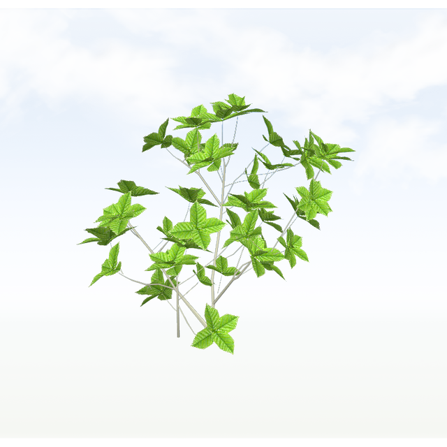 treeq006
