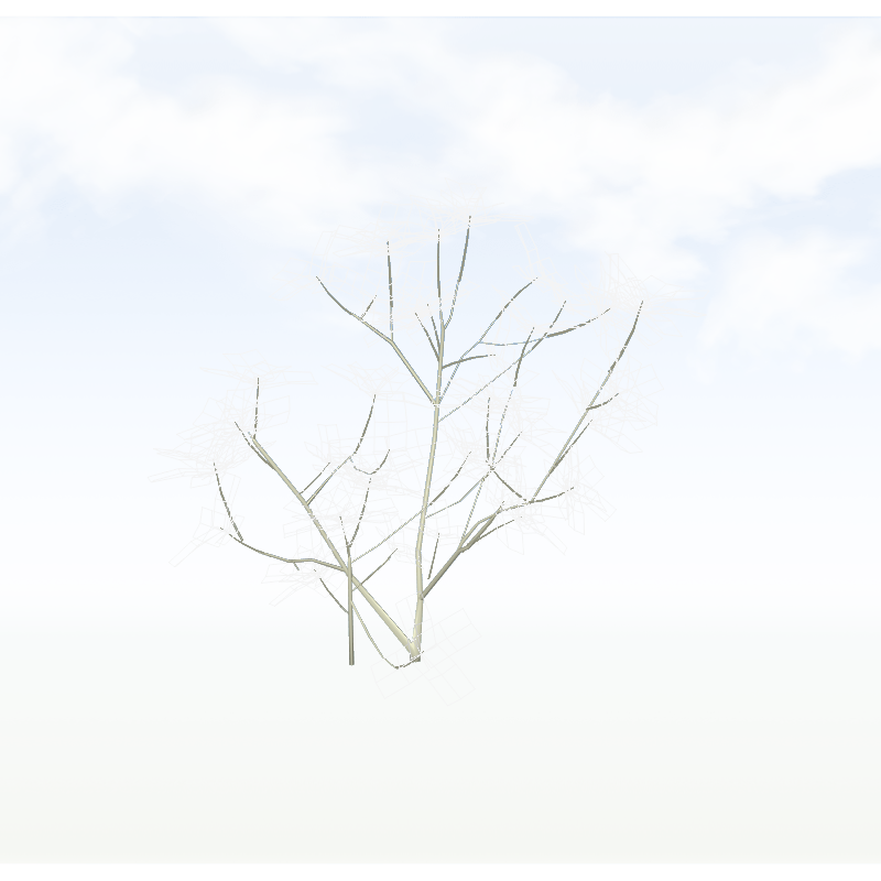 treeq006