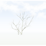 treeq006