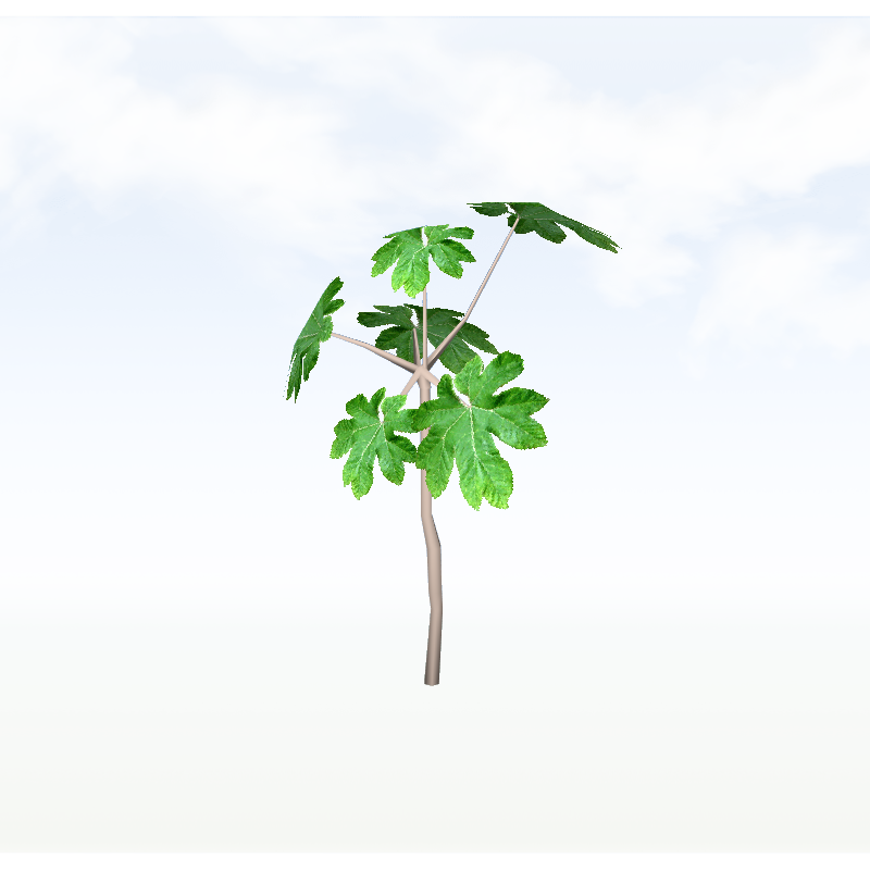 treeq007
