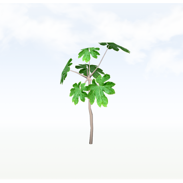 treeq007