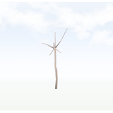 treeq007
