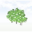 treeq008