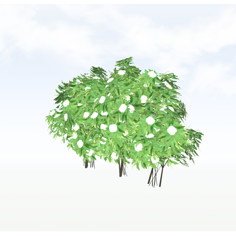 treeq008