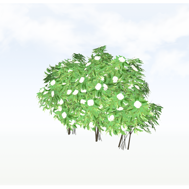 treeq008