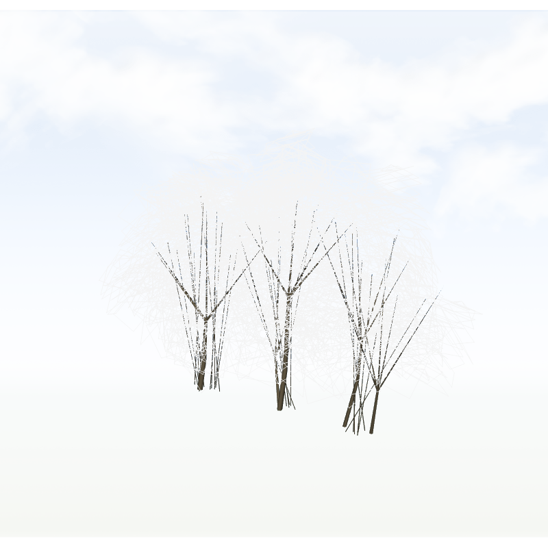 treeq008