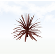 treeq009