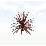treeq009