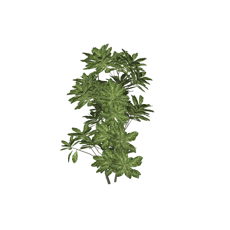 treeq010