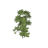 treeq010