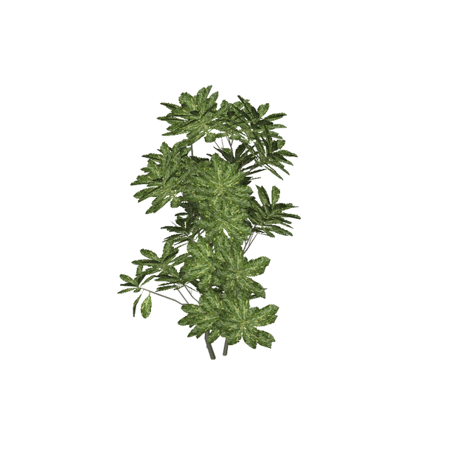 treeq010