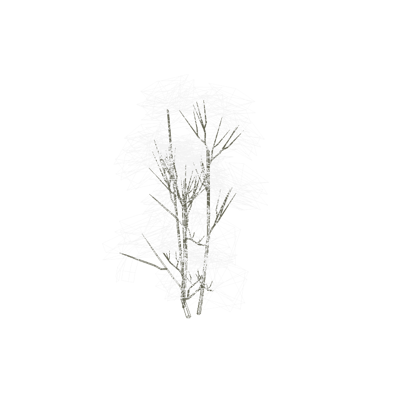treeq010