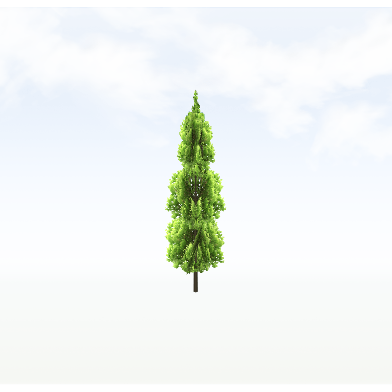 treer019