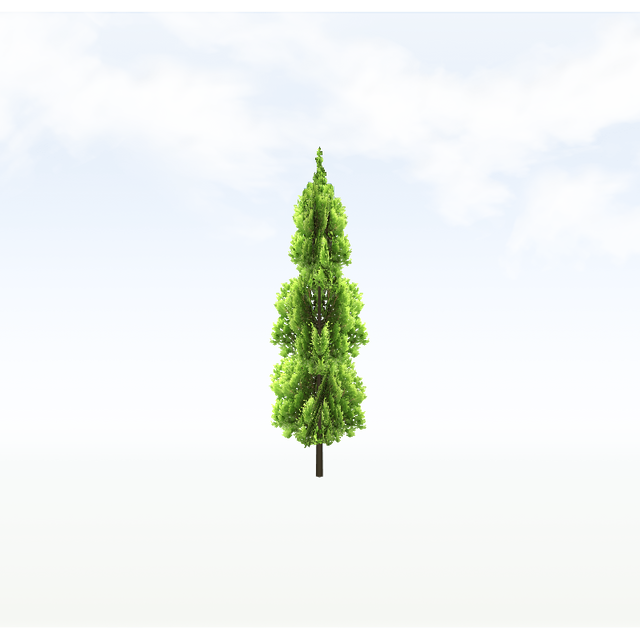treer019