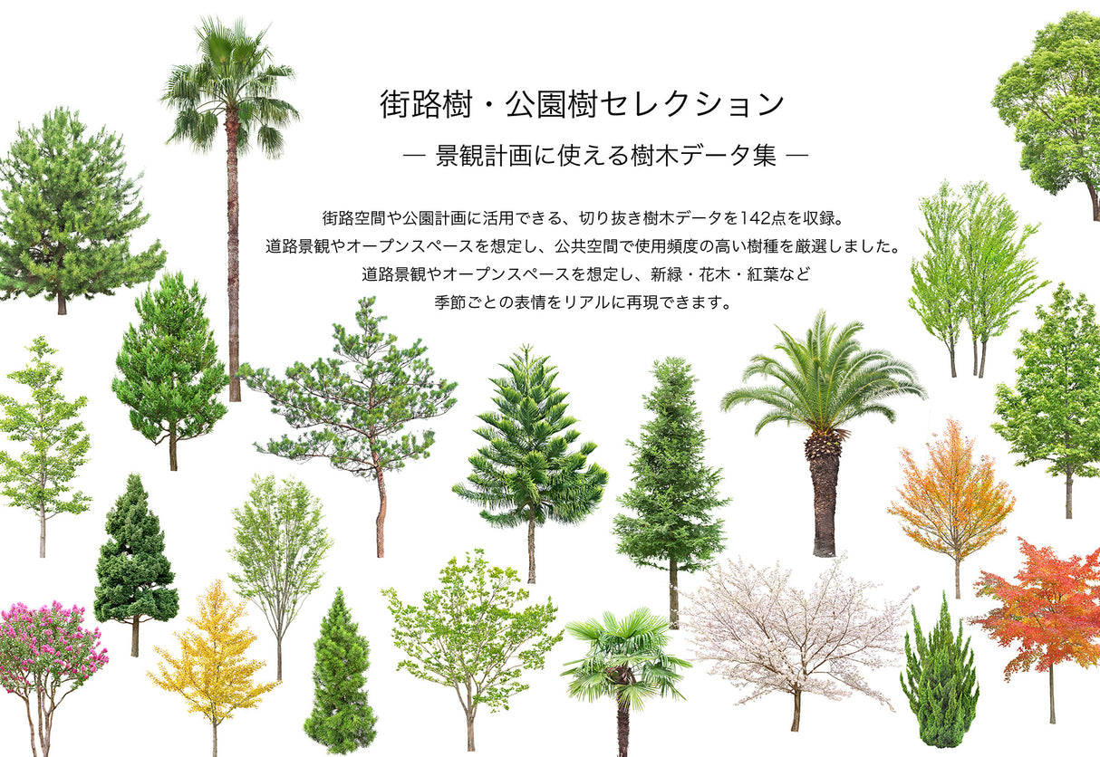 【BEST素材】街路樹・公園樹セレクション―景観計画に使える樹木データ集